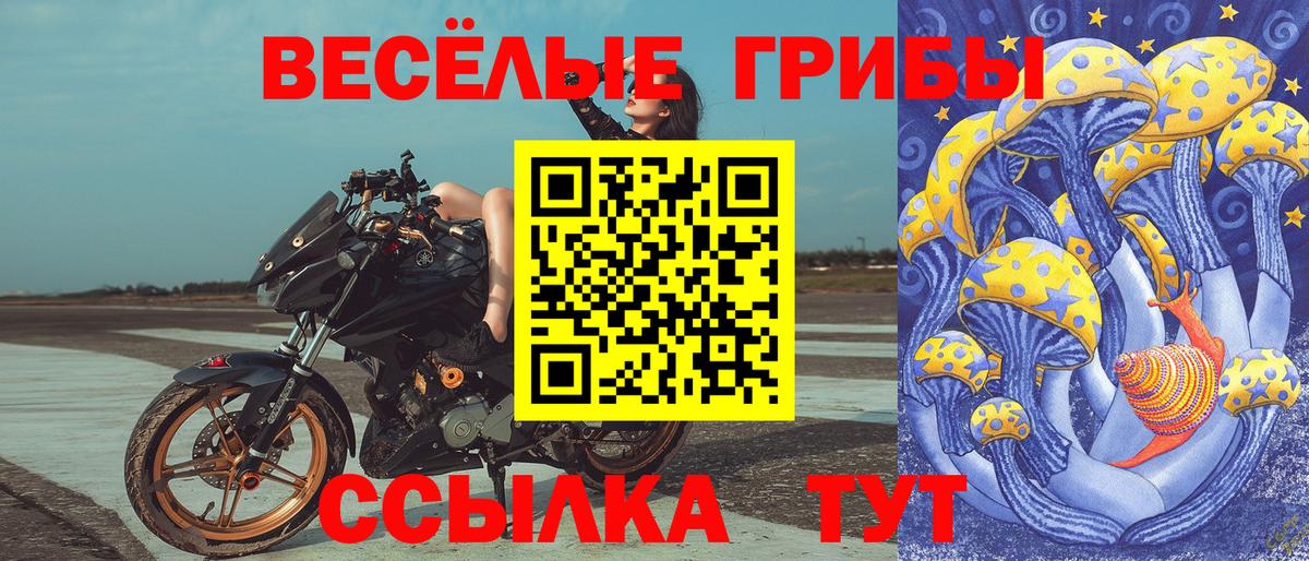 Галлюциногенные грибы Magic Shrooms Михайловка